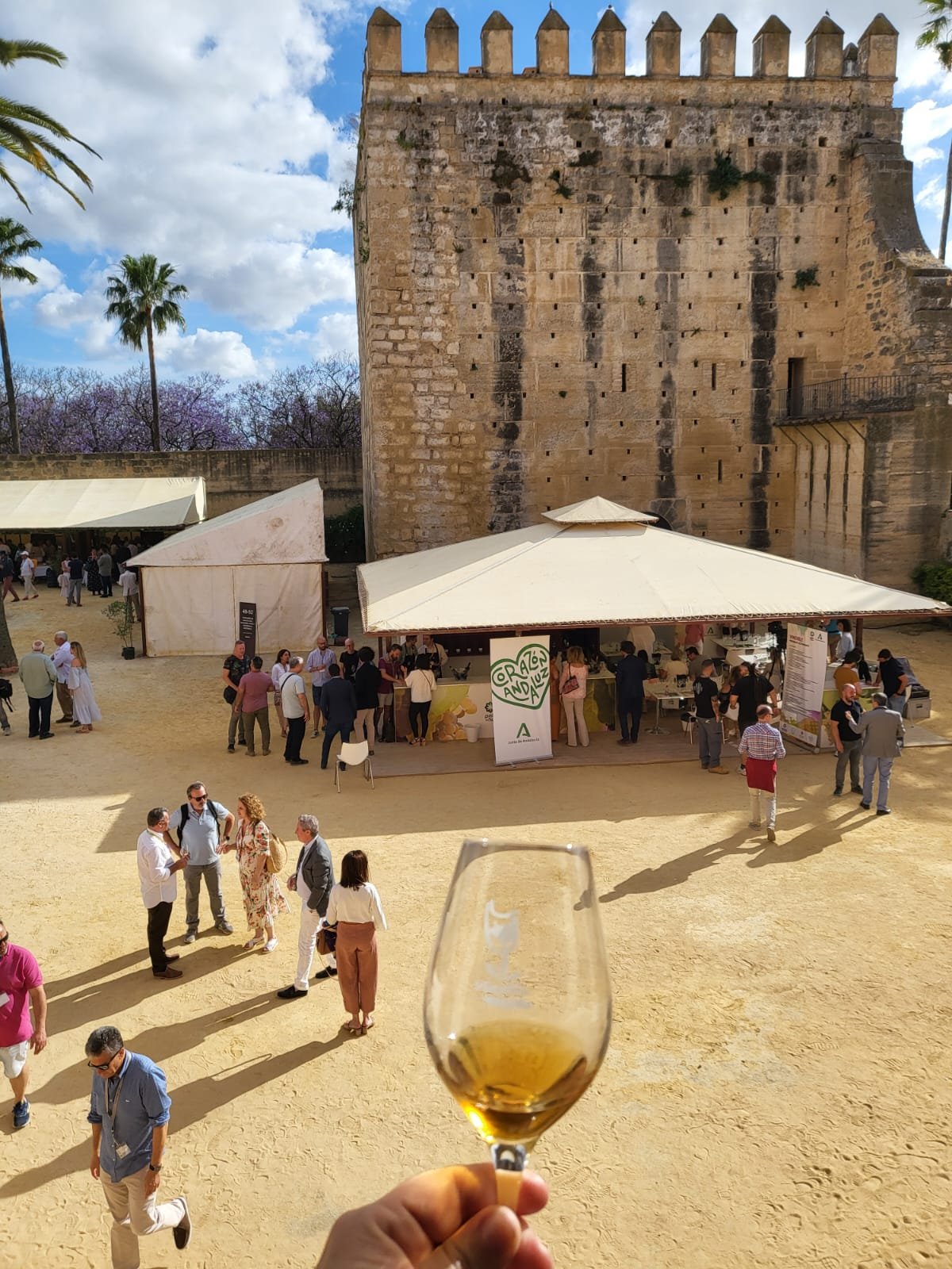 De Rutas y Vinos: Jerez